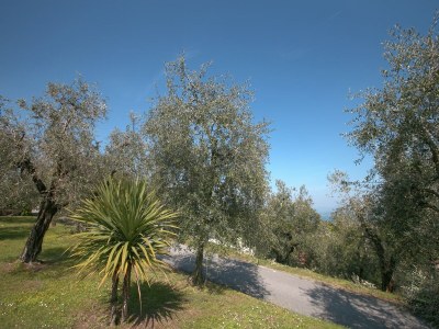 Holiday house Wunderschönes Ferienhaus mit Seeblick in Soiano del Lago - Outdoor photo 14