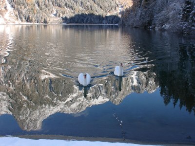 Holiday apartment Hellweger - Outdoor photo 6