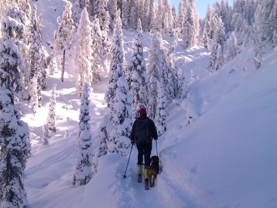 Holiday apartment Hellweger - Environment photo 23