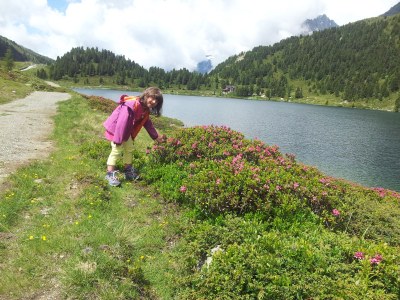 Holiday apartment Hellweger - Environment photo 26