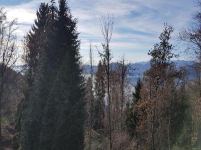 Apartment Mansion on Fishermen's Isle - Environment photo 22