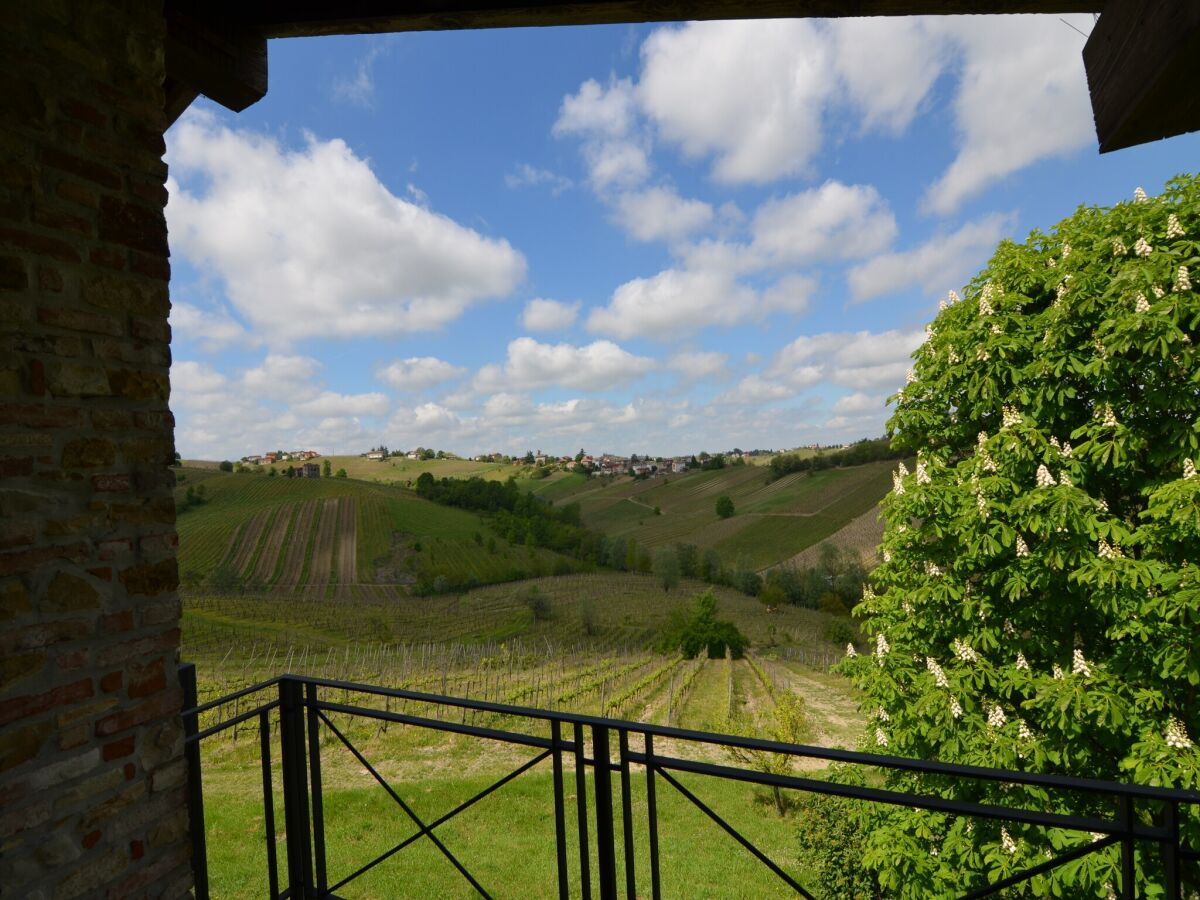 Villa Schöne Villa in Ziano Piacentino inmitten von Weinbergen - Outdoor photo 2