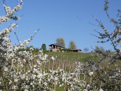 Villa Schöne Villa in Ziano Piacentino inmitten von Weinbergen - Outdoor photo 7