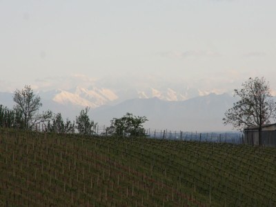 Villa Schöne Villa in Ziano Piacentino inmitten von Weinbergen - Outdoor photo 16