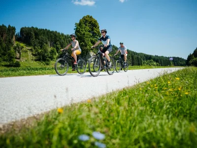 Holiday apartment Sauerschnig - Klopeinersee - Environment photo 31