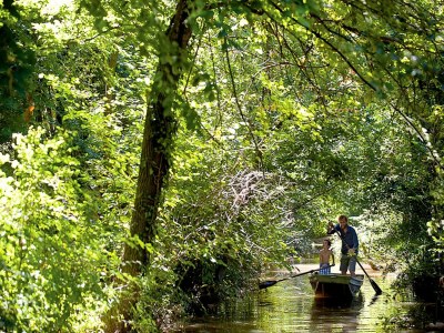 Castle Villa in Venice with Private Pool & Park - Outdoor photo 3