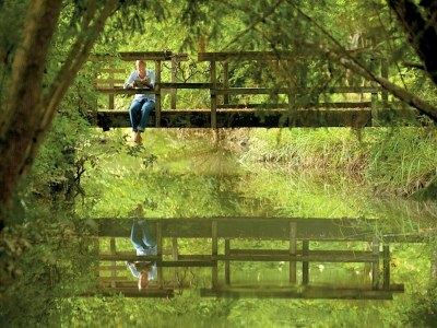 Castle Villa in Venice with Private Pool & Park - Outdoor photo 10