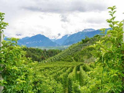Apartment Charmantes Apartment in Brez mit TV - Outdoor photo 3