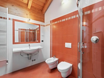 Apartment Charmantes Apartment in Brez mit TV - Features photo 21