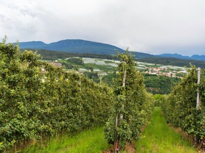 Apartment Charmantes Apartment in Brez mit TV - Environment photo 29