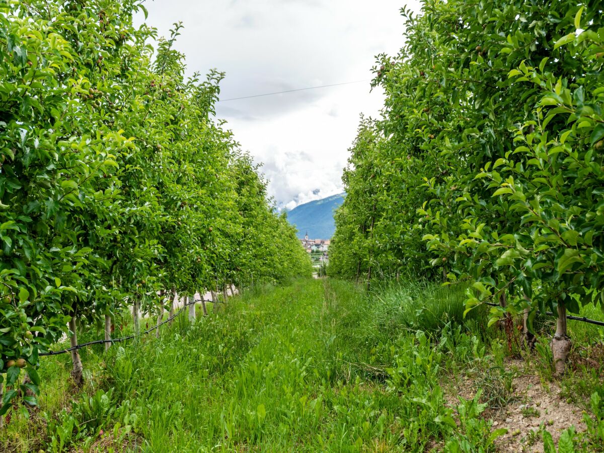 Apartment Schönes Apartment in Brez mit Garten - Outdoor photo 5
