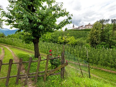 Apartment Schönes Apartment in Brez mit Garten - Environment photo 29