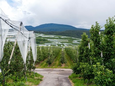 Apartment Schönes Apartment in Brez mit Garten - Environment photo 30