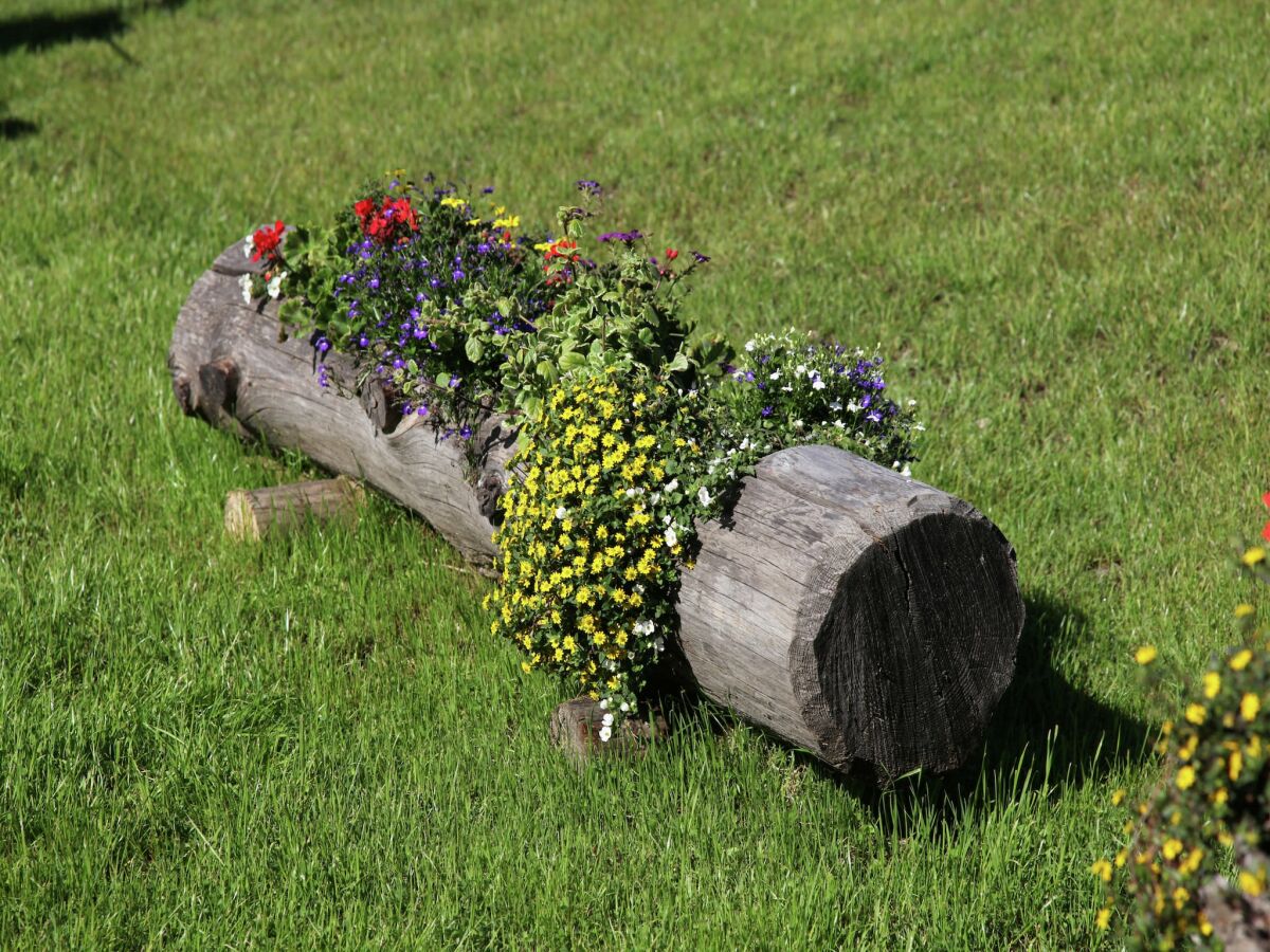 Holiday house Zaubererhäuschen Bellamonte - Outdoor photo 2