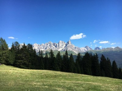 Holiday house Zaubererhäuschen Bellamonte - Environment photo 22