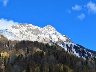 Holiday house Zaubererhäuschen Bellamonte - Environment photo 24