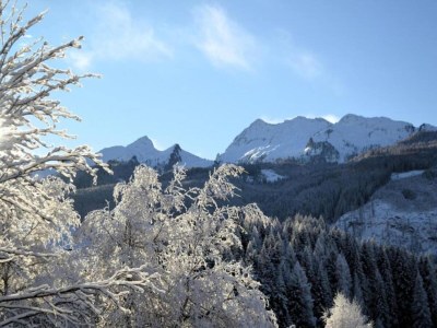 Holiday house Zaubererhäuschen Bellamonte - Environment photo 28