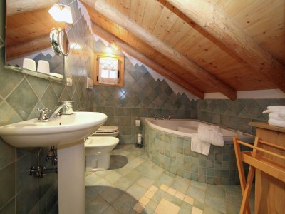Holiday house Alpine Cottage with Sauna - Features photo 9