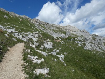 Holiday house Alpine Cottage with Sauna - Environment photo 24