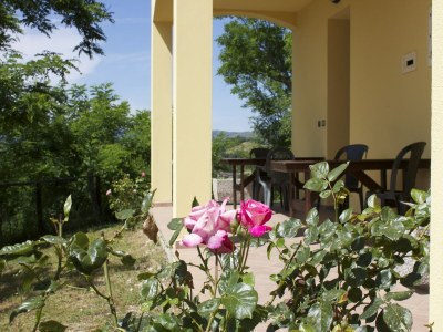 Apartment Ländlicher Rückzugsort in Sassoleone - Outdoor photo 6