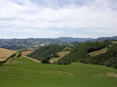 Apartment Ländlicher Rückzugsort in Sassoleone - Environment photo 26