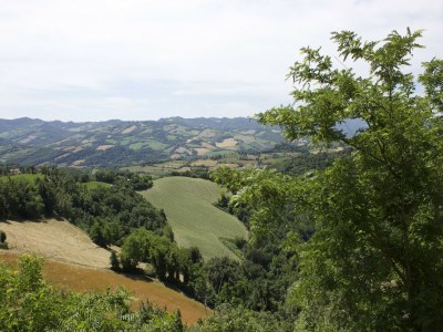Apartment Ländlicher Rückzugsort in Sassoleone - Environment photo 27
