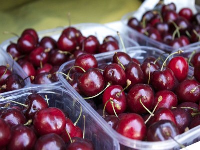 Apartment Ländlicher Rückzugsort in Sassoleone - Outdoor photo 32