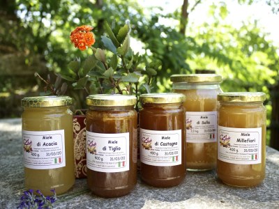 Apartment Ländlicher Rückzugsort in Sassoleone - Outdoor photo 33