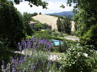 Apartment Ländlicher Rückzugsort in Sassoleone - Outdoor photo 35