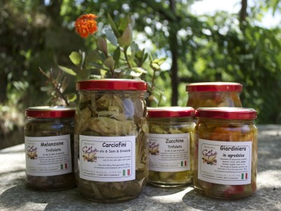 Apartment Ländlicher Rückzugsort in Sassoleone - Outdoor photo 40