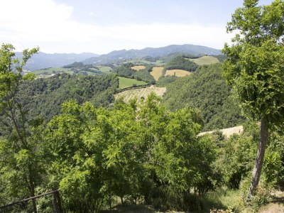 Apartment Stay with Balcony Views - Environment photo 30