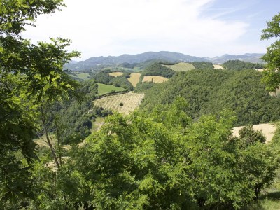 Apartment Stay with Balcony Views - Environment photo 31