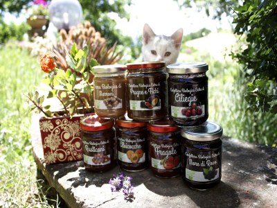 Apartment Stay with Balcony Views - Outdoor photo 34