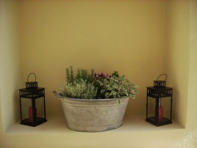 Holiday house Ferienhaus in Imola mit Wald und Pool - Outdoor photo 32