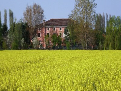 Farmhouse Pet-Friendly Nature Escape - Outdoor photo 2