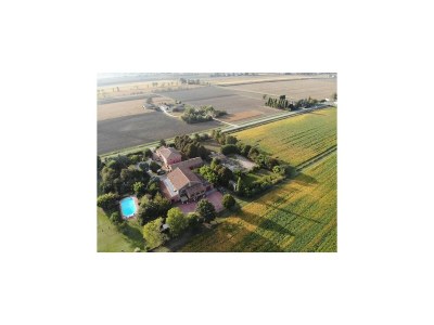 Farmhouse Pet-Friendly Nature Escape - Outdoor photo 19