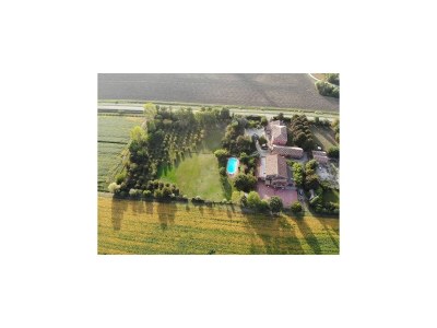 Farmhouse Pet-Friendly Nature Escape - Outdoor photo 20