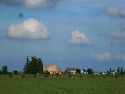 Farmhouse Pet-Friendly Nature Escape - Environment photo 32