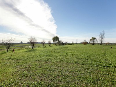 Farmhouse Pet-Friendly Nature Escape - Environment photo 38