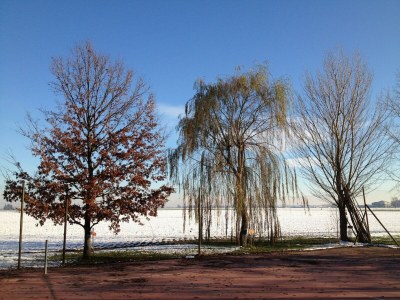 Farmhouse Pet-Friendly Nature Escape - Environment photo 39