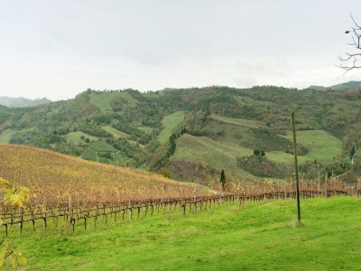 Holiday house Belvilla by OYO Appartamento Yassine - Environment photo 23