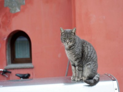 Holiday house Belvilla by OYO Appartamento Yassine - Environment photo 30