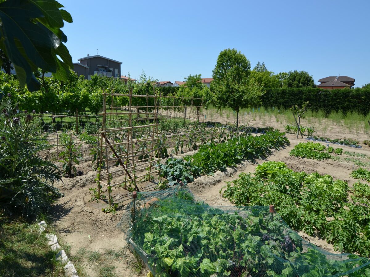 Apartment Sunny Coastal Apartment - Outdoor photo 3