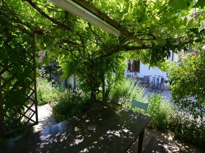 Apartment Sunny Coastal Apartment - Outdoor photo 10