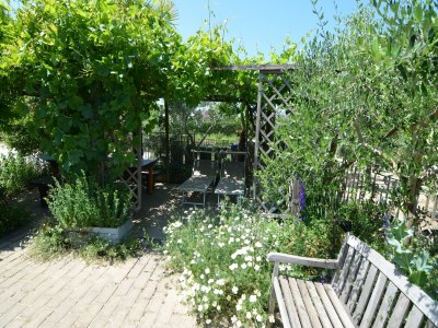 Apartment Sunny Coastal Apartment - Outdoor photo 13