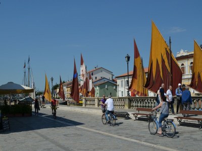 Apartment Sunny Coastal Apartment - Environment photo 27