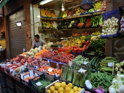 Apartment Sunny Coastal Apartment - Environment photo 33