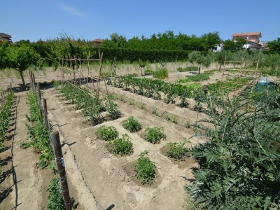 Apartment Sunny Coastal Apartment - Outdoor photo 36