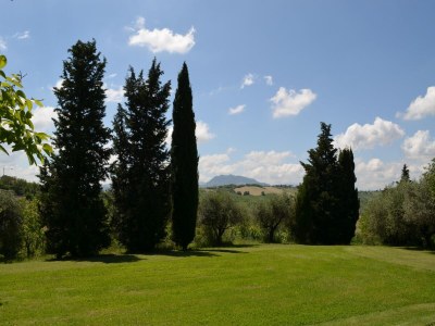 Holiday house Italian Holiday home - Outdoor photo 10