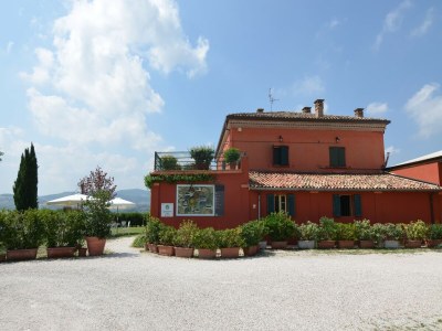 Apartment Wohnung inmitten von Weinbergen und blauem Himmel - Outdoor photo 11